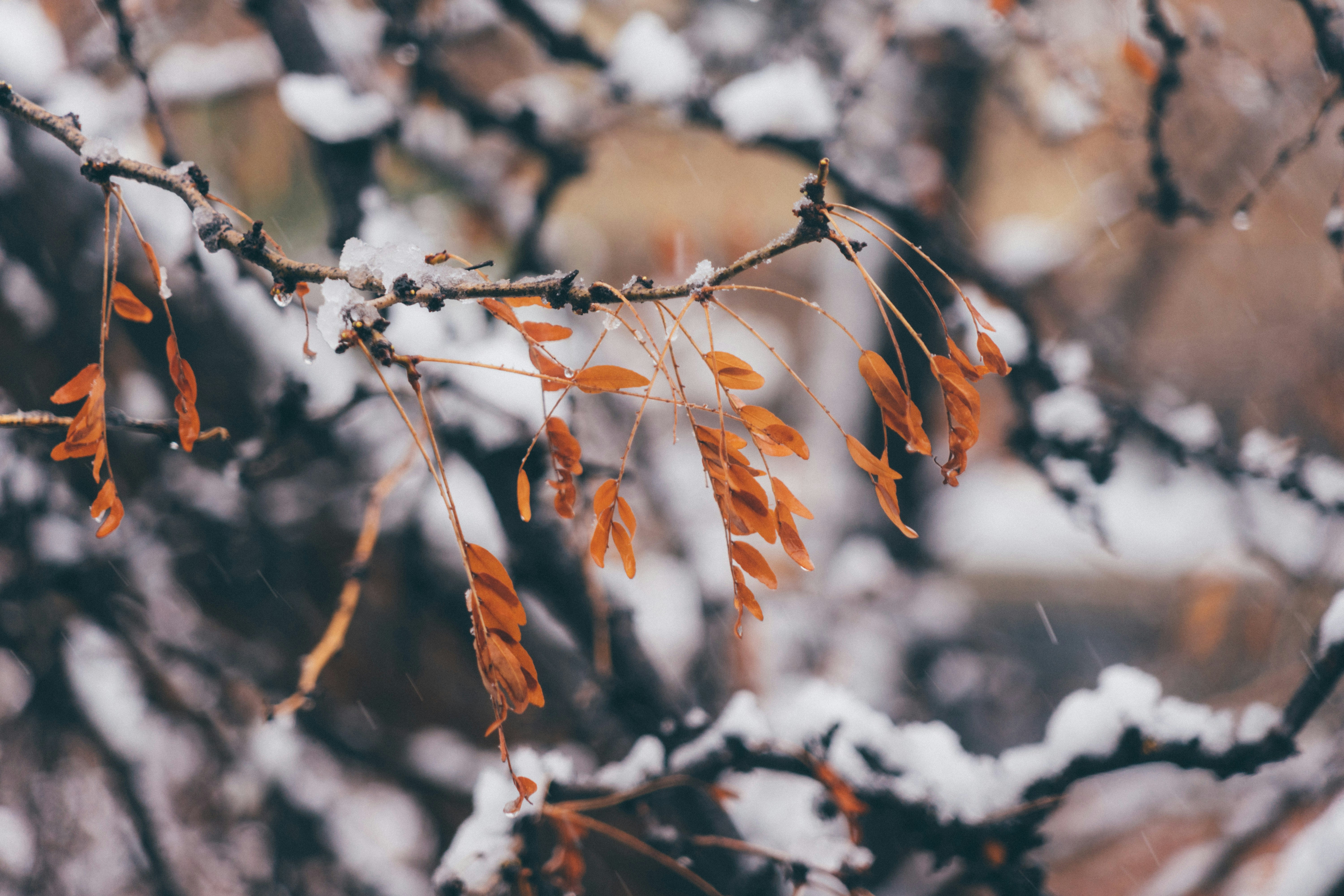 Photo by itworkonline