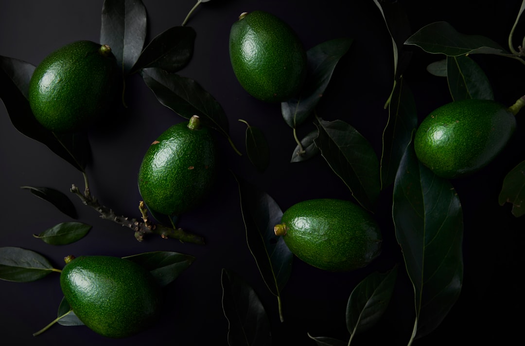 green round fruit on tree