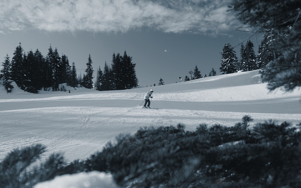 person in black jacket and pants walking on snow covered ground near green trees under blue