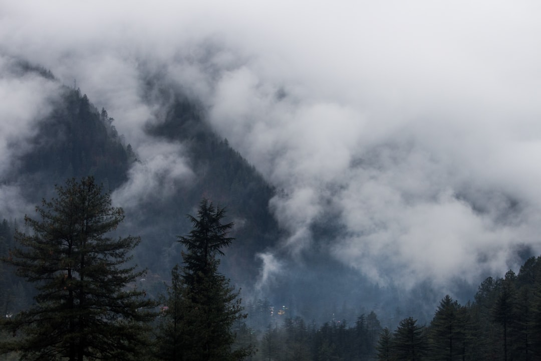 Forest photo spot Kasol Manali, Himachal Pradesh