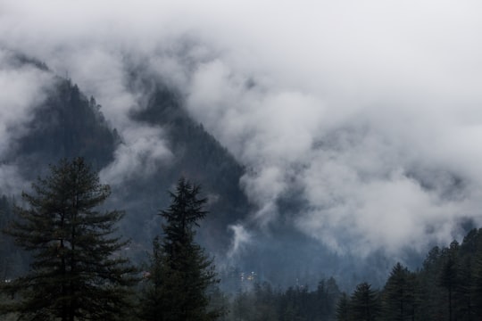 green trees under white clouds in Kasol India