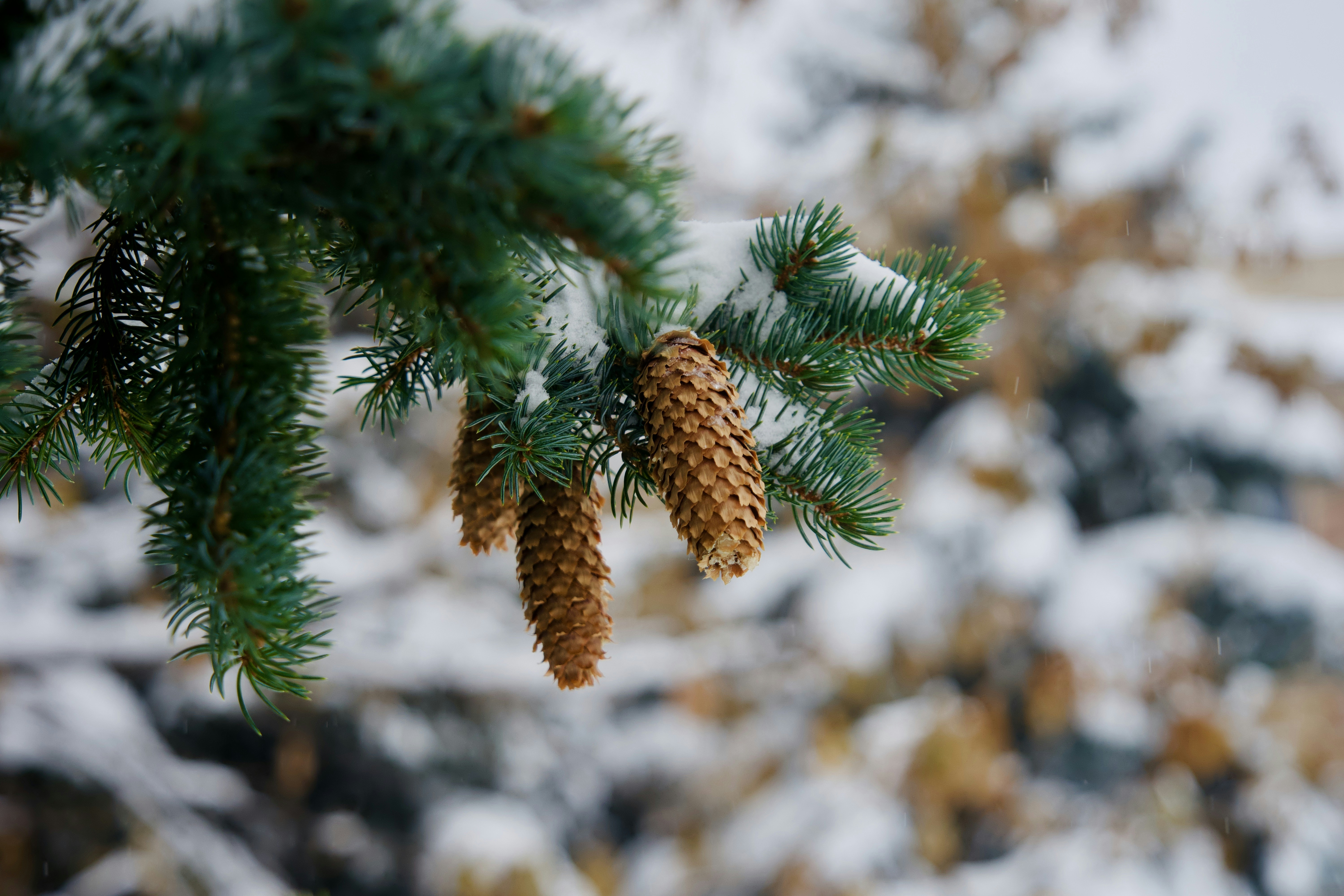 Photo by itworkonline