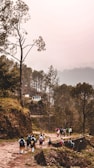 A group of people, likely students with backpacks, are walking along a dirt path surrounded by a lush, green forest. The trail is set on a hilly landscape with tall pine trees and a small building visible in the background. The atmosphere appears misty and serene.