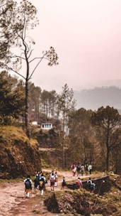 A scenic view of a school group on an educational trip in nature.