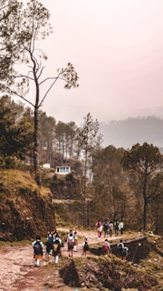 A group of people, likely students with backpacks, are walking along a dirt path surrounded by a lush, green forest. The trail is set on a hilly landscape with tall pine trees and a small building visible in the background. The atmosphere appears misty and serene.