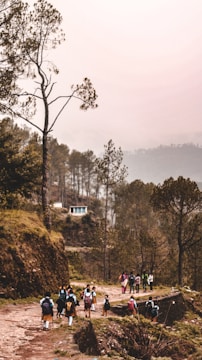 A group of people, likely students with backpacks, are walking along a dirt path surrounded by a lush, green forest. The trail is set on a hilly landscape with tall pine trees and a small building visible in the background. The atmosphere appears misty and serene.