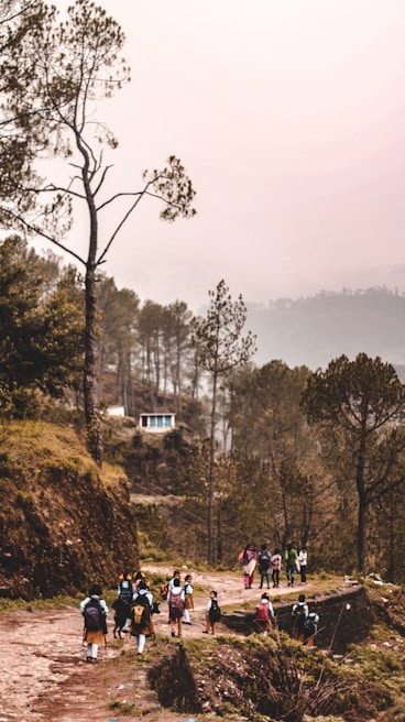 A group of people, likely students with backpacks, are walking along a dirt path surrounded by a lush, green forest. The trail is set on a hilly landscape with tall pine trees and a small building visible in the background. The atmosphere appears misty and serene.