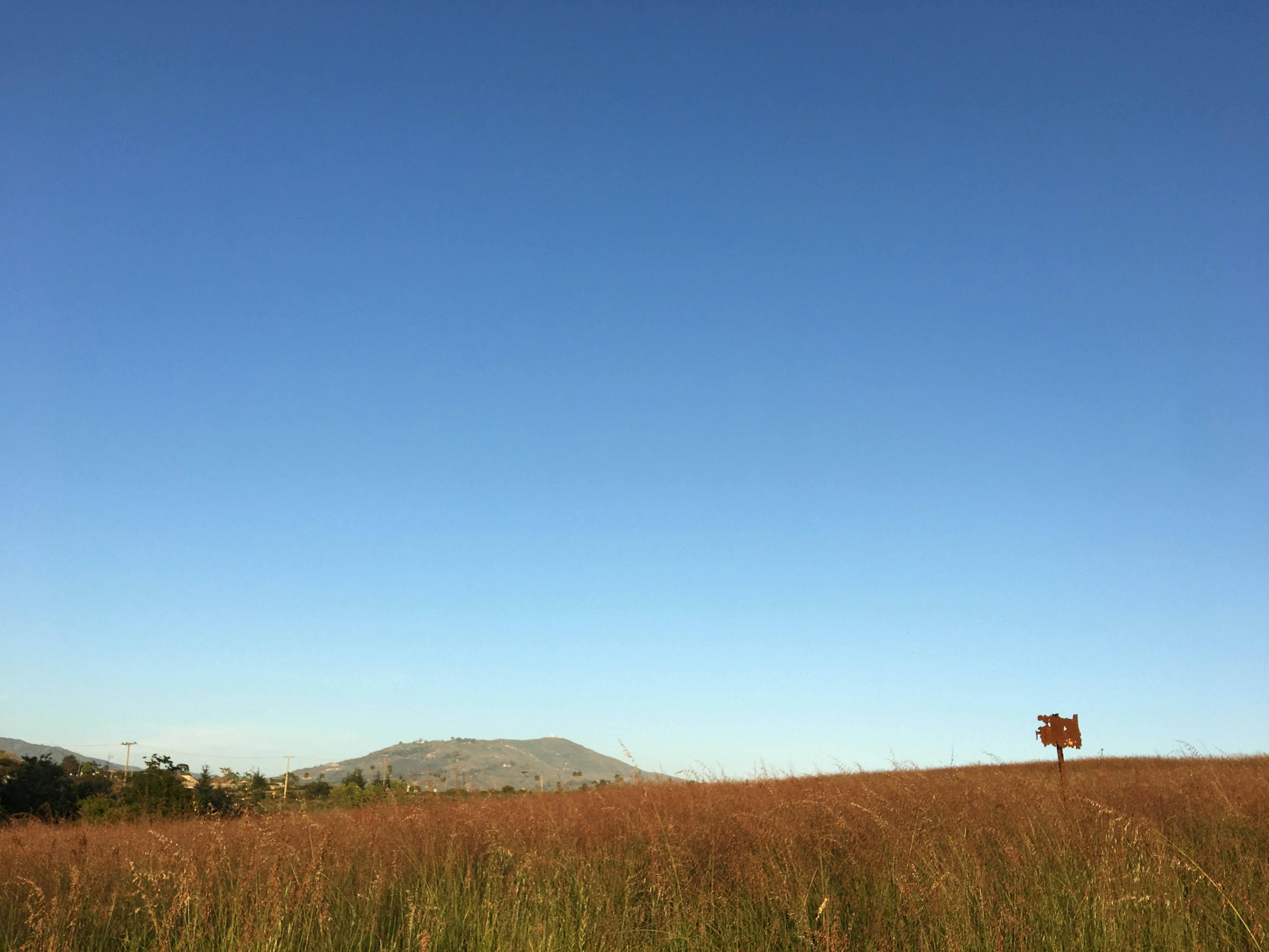 Photo by maiquynhtruong