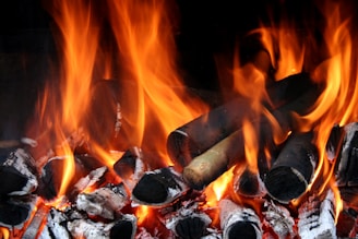 Logs of wood burning with bright orange and yellow flames, surrounded by white ash and darkened charcoal remains, creating a vivid and dynamic scene.