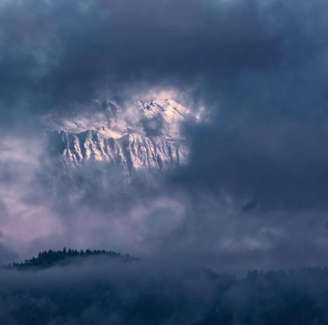 white clouds over green trees