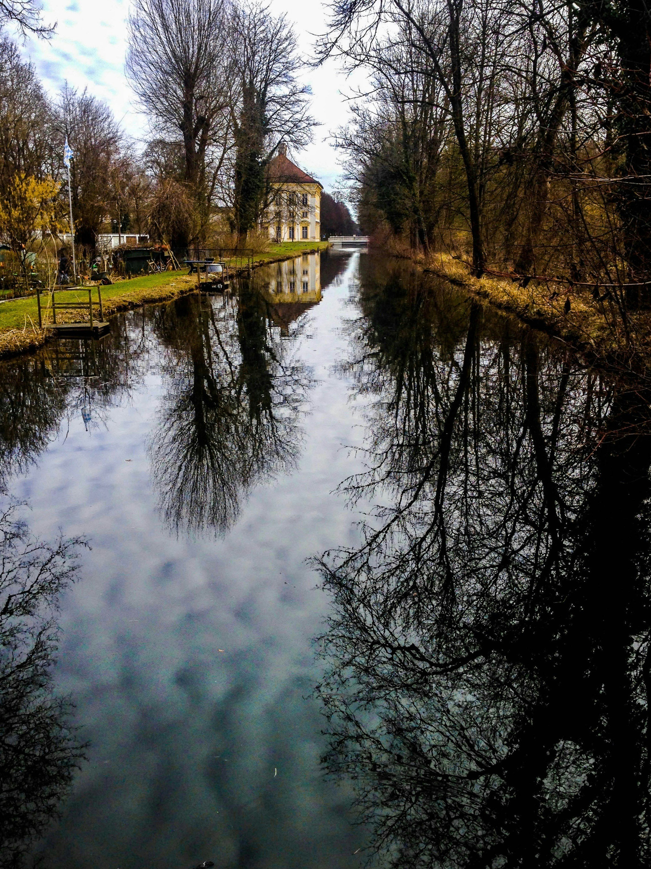 brown and green trees beside river under white clouds