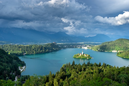 green trees near body of water under cloudy sky during daytime in Ojstrica Slovenia