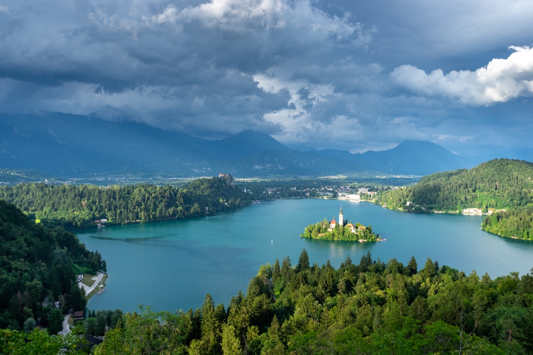 green trees near body of water under cloudy sky during daytime