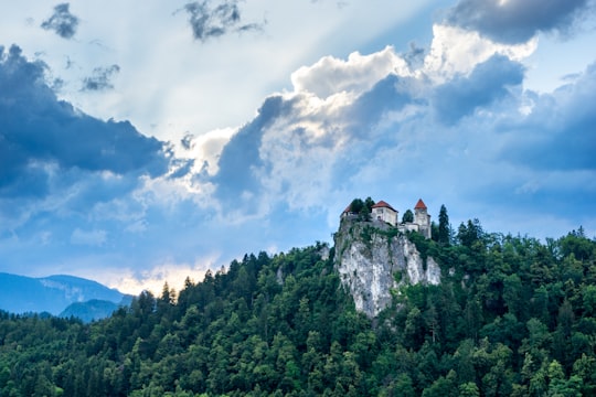 green trees under blue sky and white clouds during daytime in Lake Bled Slovenia