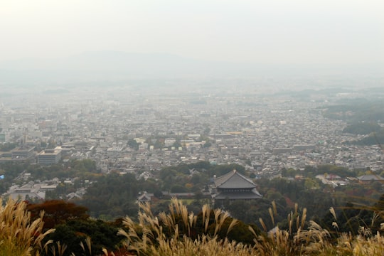 aerial view of city during daytime in Mount Wakakusa Japan