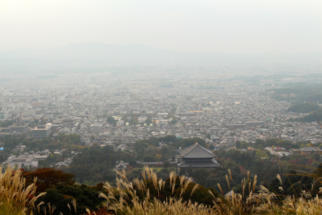 Hill photo spot Mount Wakakusa Japan