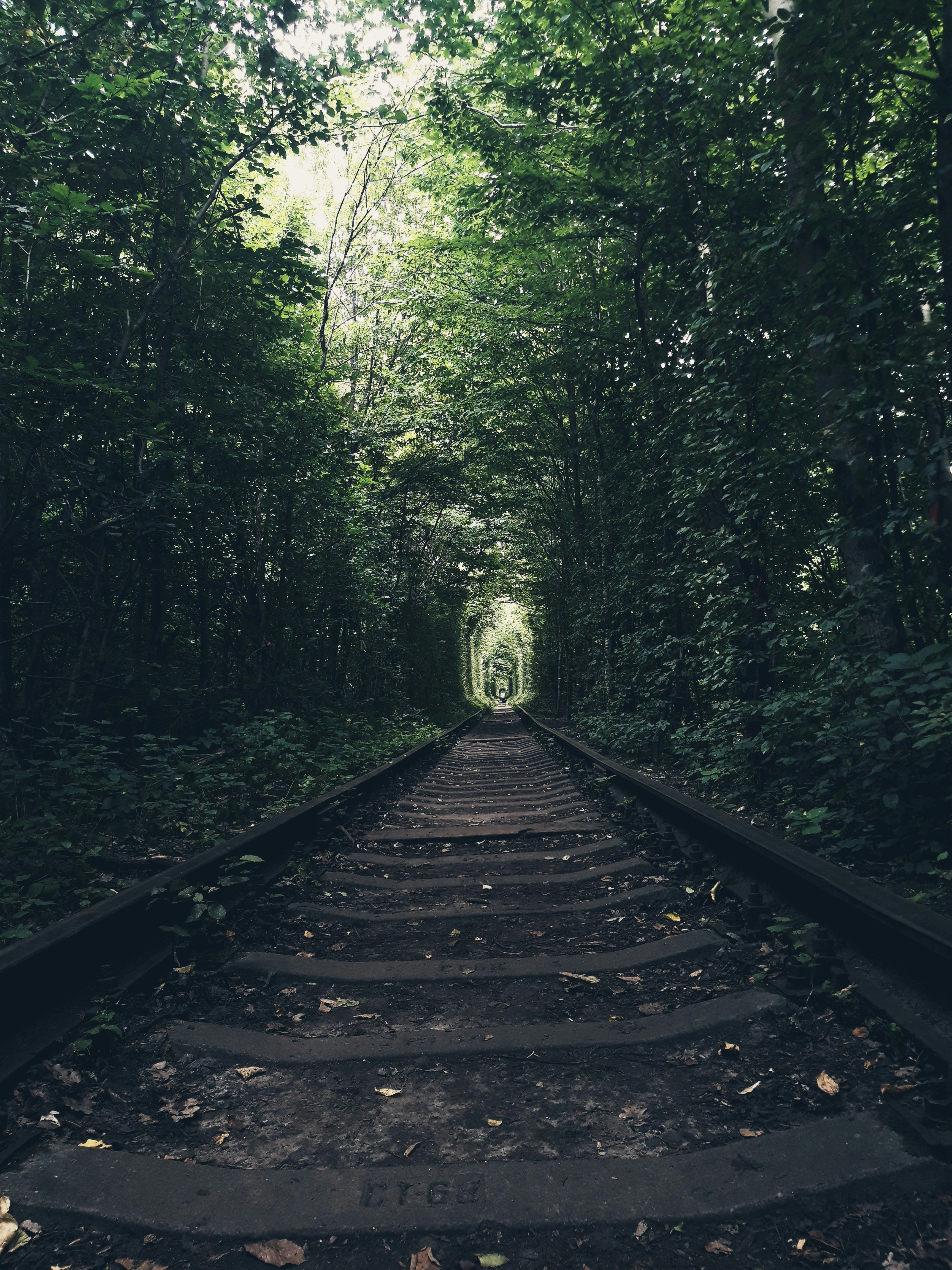 Photo by vladyslavsokha