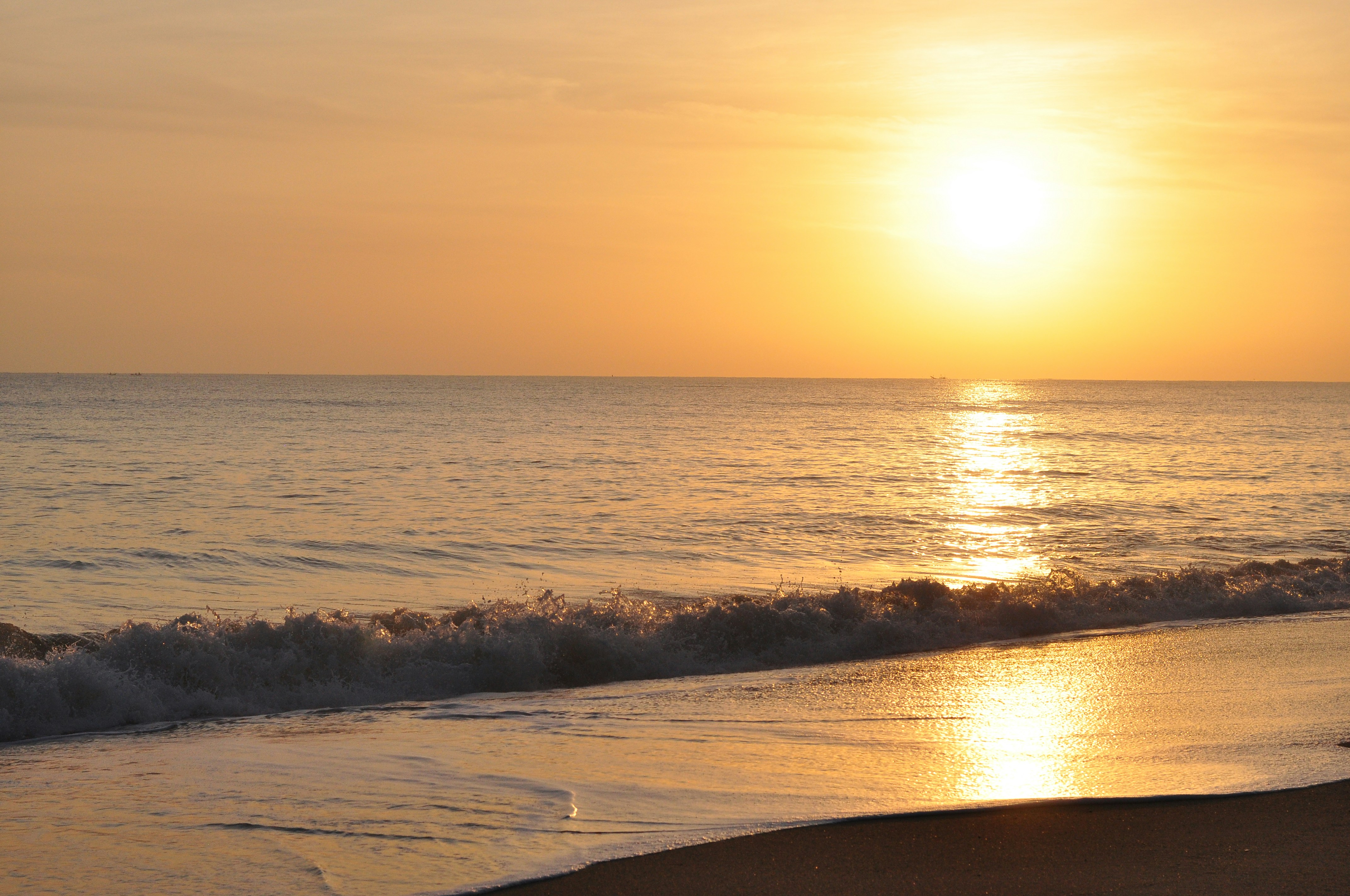 Photo by idonothingbutlove