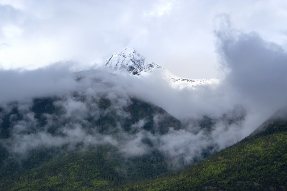 green grass field near snow covered mountain during daytime