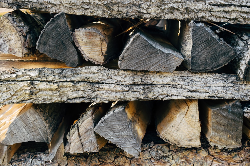 brown and gray wood log