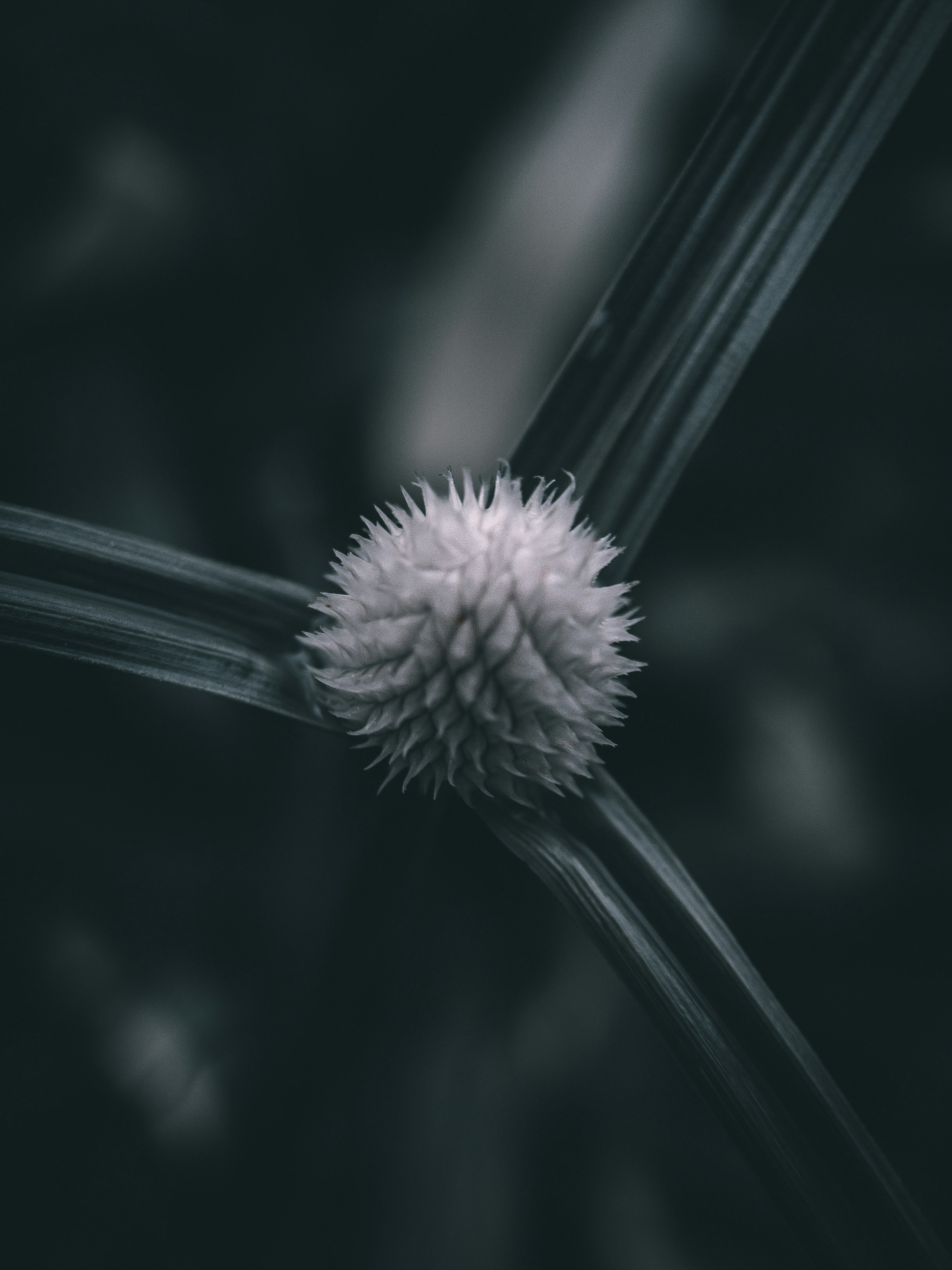 Photo by trulysoutheastasia