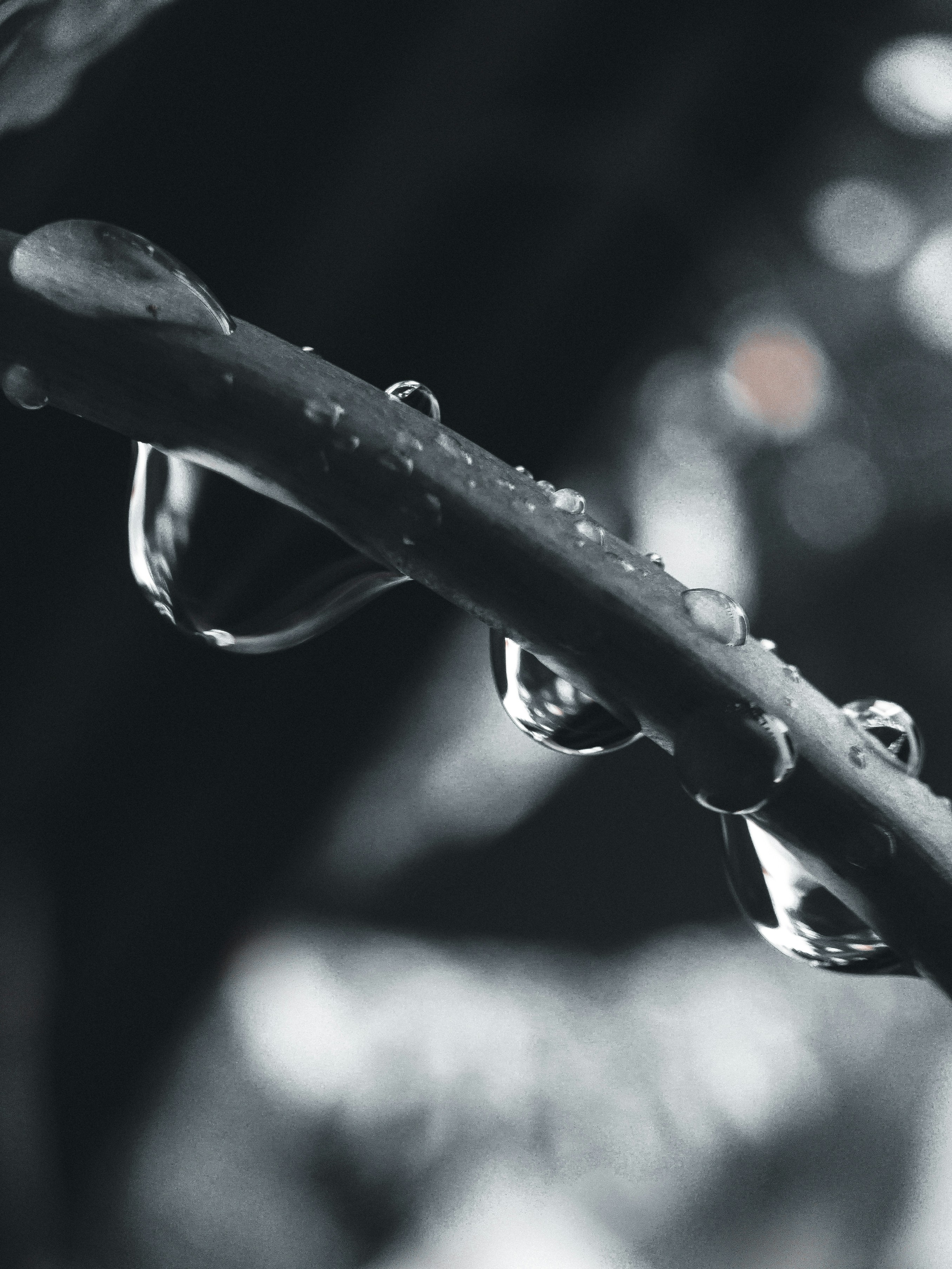 Photo by trulysoutheastasia