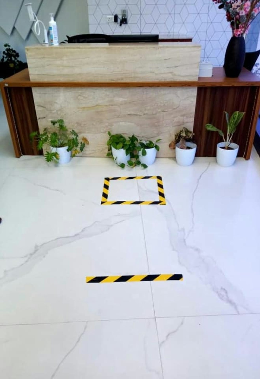 green potted plant on white table