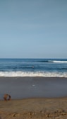 Waves gently roll onto a sandy beach under a clear blue sky. A single person is seen swimming in the ocean, with scattered debris on the sand including a plastic bottle and a coil of rope.