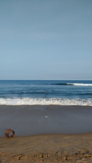 Waves gently roll onto a sandy beach under a clear blue sky. A single person is seen swimming in the ocean, with scattered debris on the sand including a plastic bottle and a coil of rope.