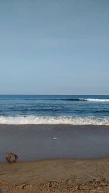 Waves gently roll onto a sandy beach under a clear blue sky. A single person is seen swimming in the ocean, with scattered debris on the sand including a plastic bottle and a coil of rope.