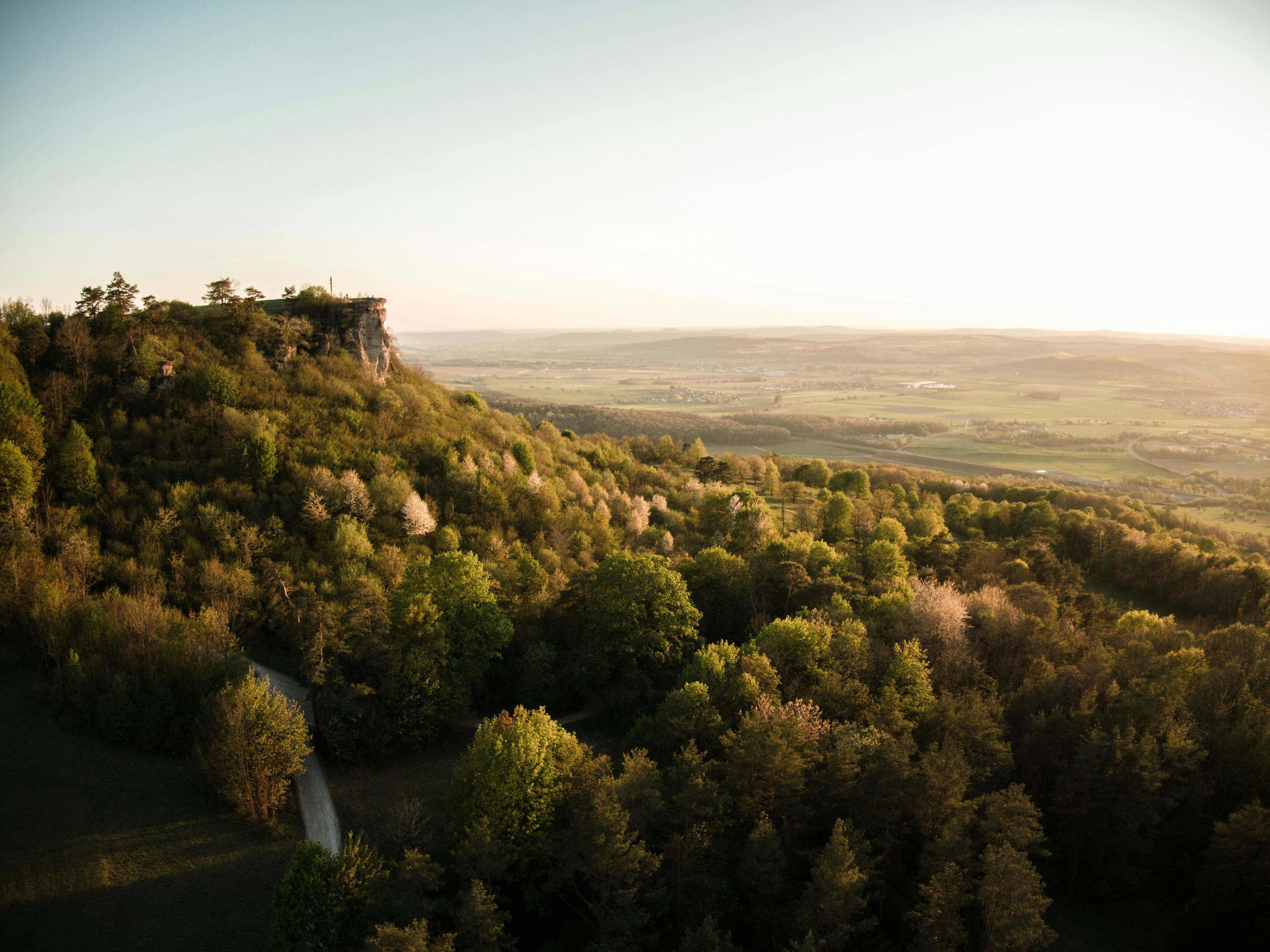 Photo by meister_stamm