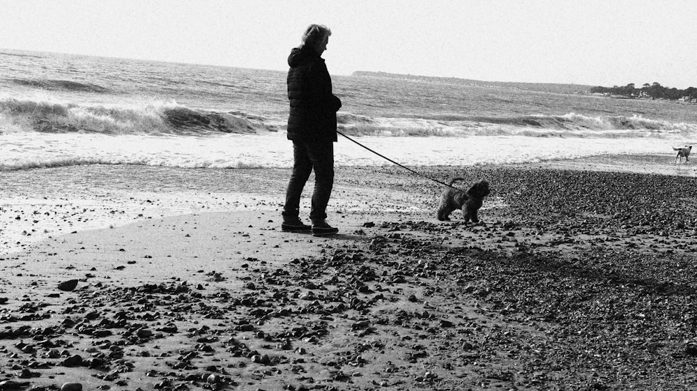 昼間の海岸を散歩する人と犬のシルエット