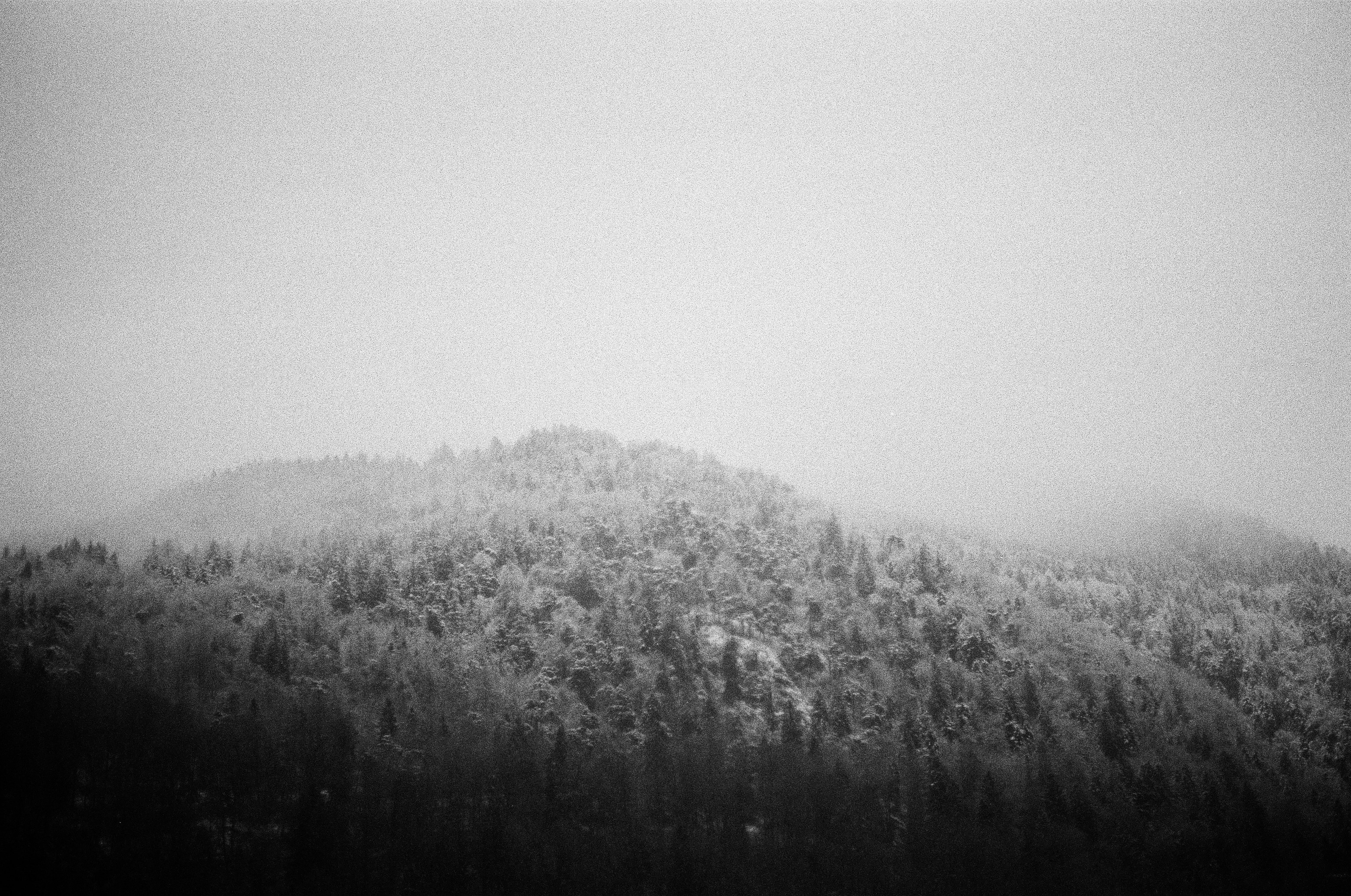 Photo by constantinp