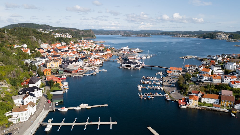 aerial view of city buildings near body of water during daytime