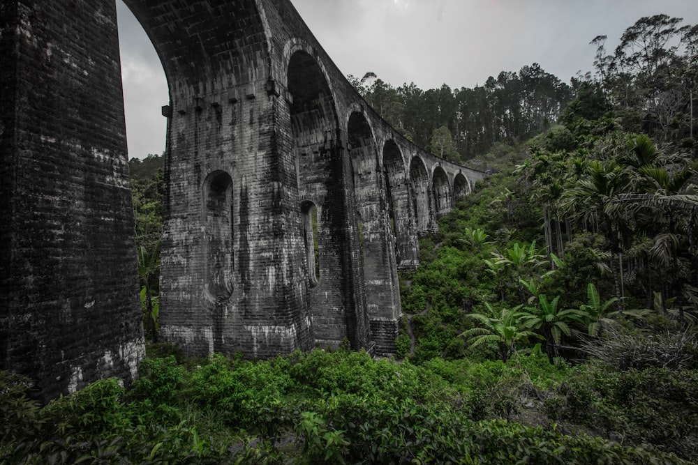 Pont en béton gris au-dessus d’un champ d’herbe verte