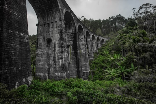 gray concrete bridge over green grass field in Ella Sri Lanka