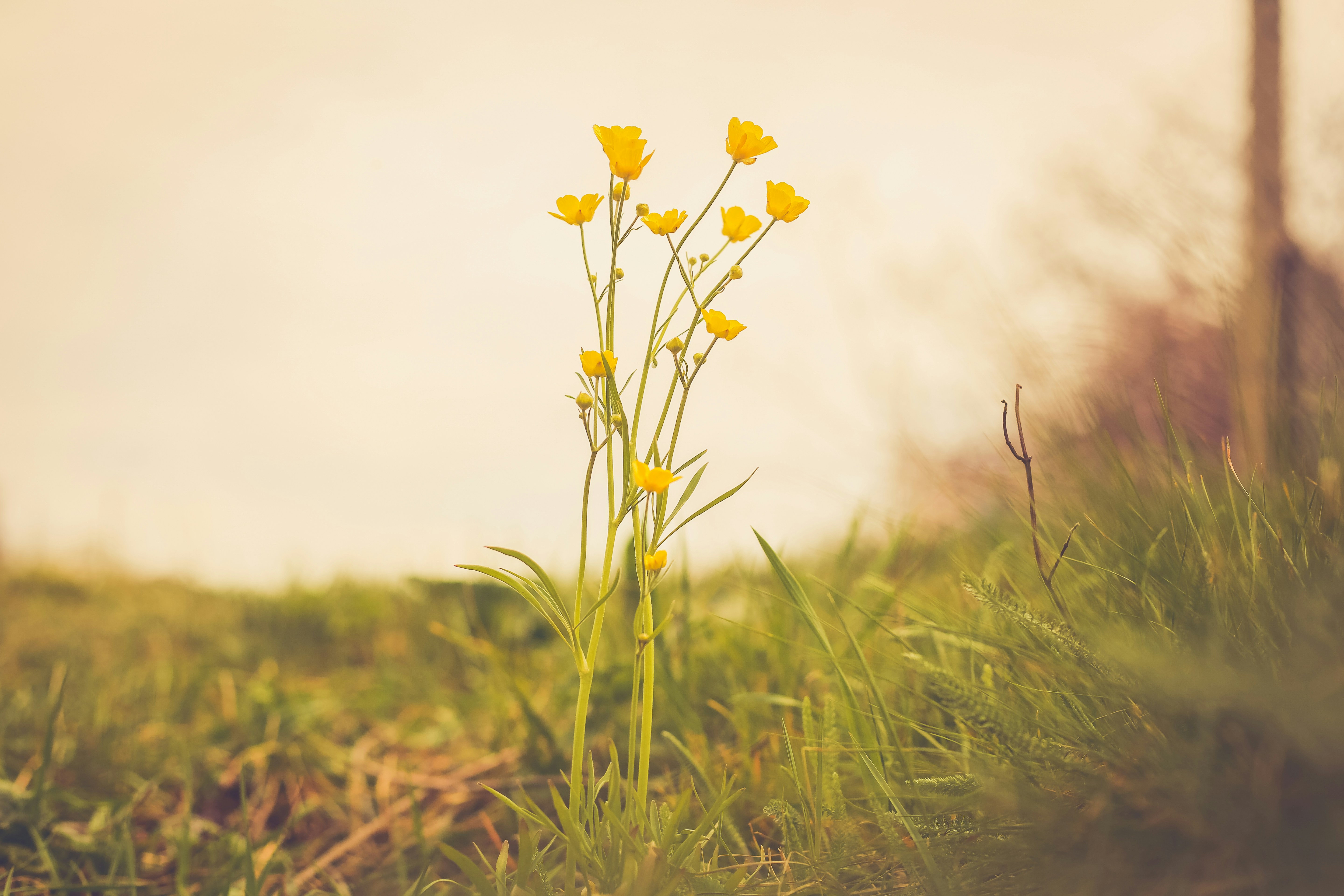 Photo by valentinbalan