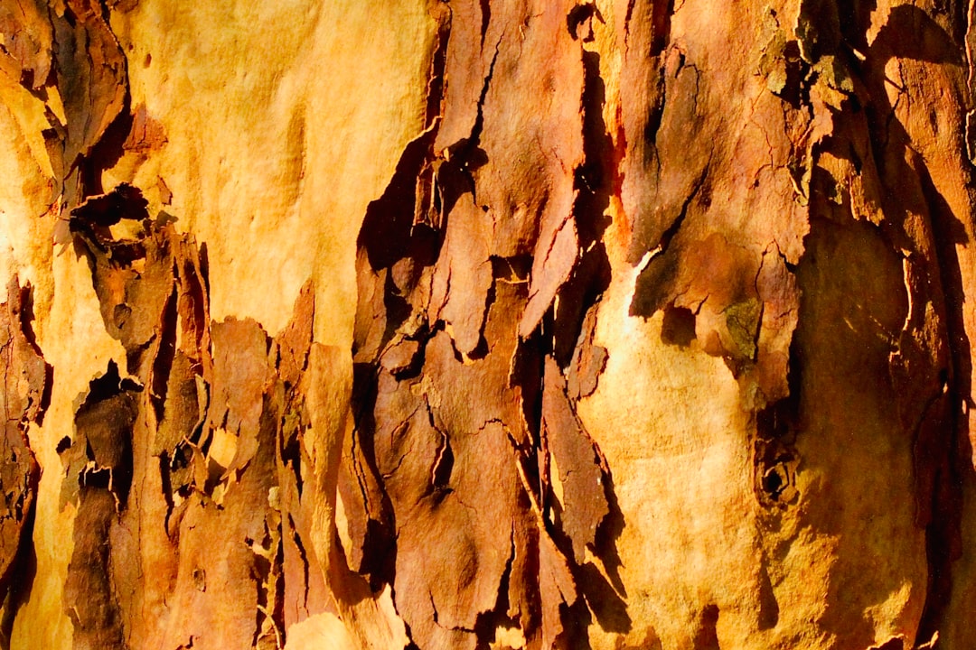 Badlands photo spot Sydney Grose River