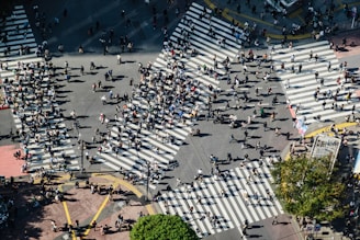 aerial view of city buildings during daytime
