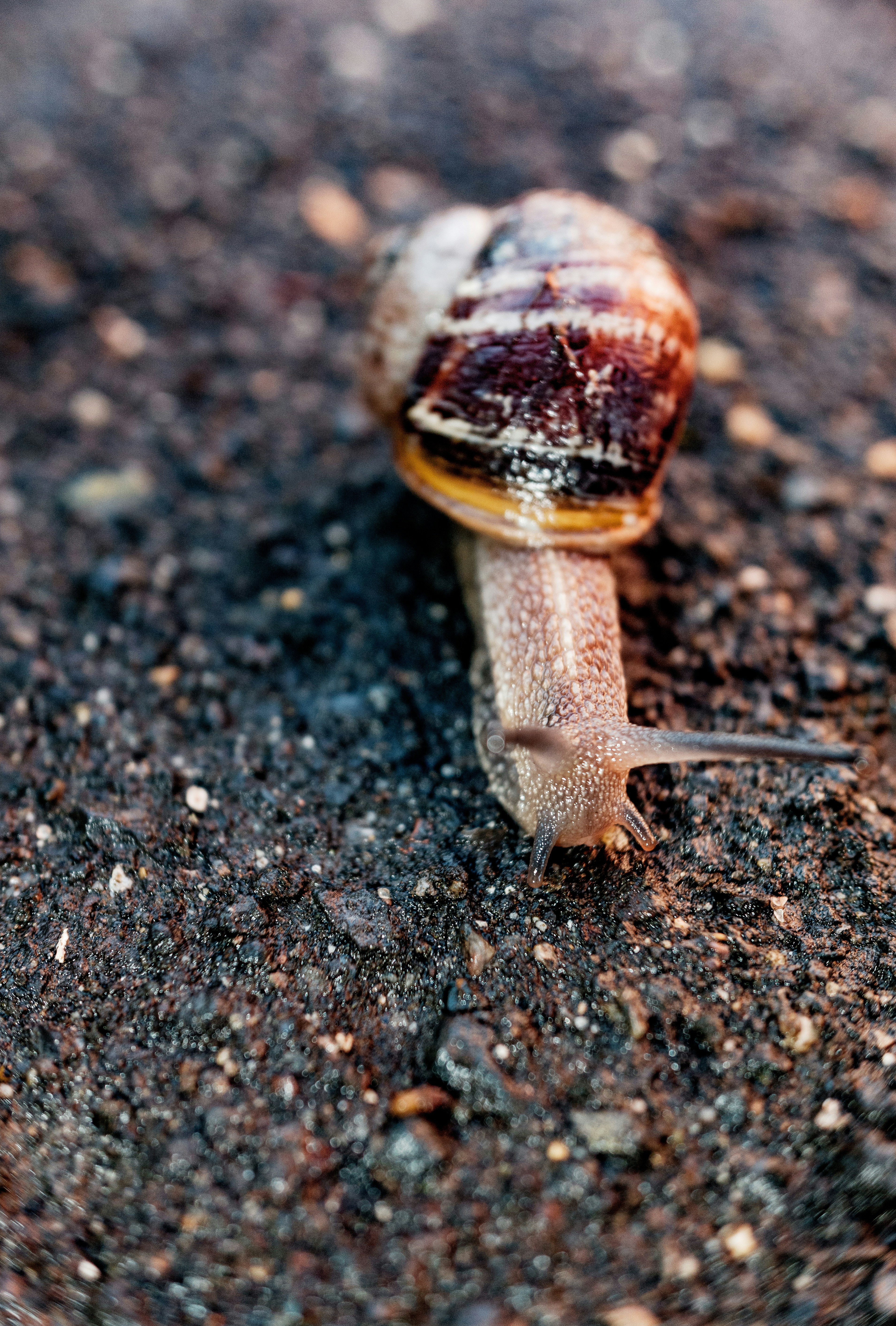 Photo by grievek1610begur