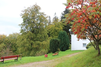 A serene landscape featuring lush green trees, a white building partially visible with a small window, a gravel path surrounded by grass, and benches positioned alongside the path. The season appears to be autumn, as indicated by the colorful foliage of red and orange leaves on the trees.
