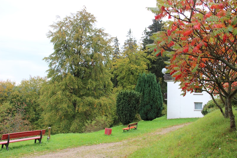 A serene landscape featuring lush green trees, a white building partially visible with a small window, a gravel path surrounded by grass, and benches positioned alongside the path. The season appears to be autumn, as indicated by the colorful foliage of red and orange leaves on the trees.