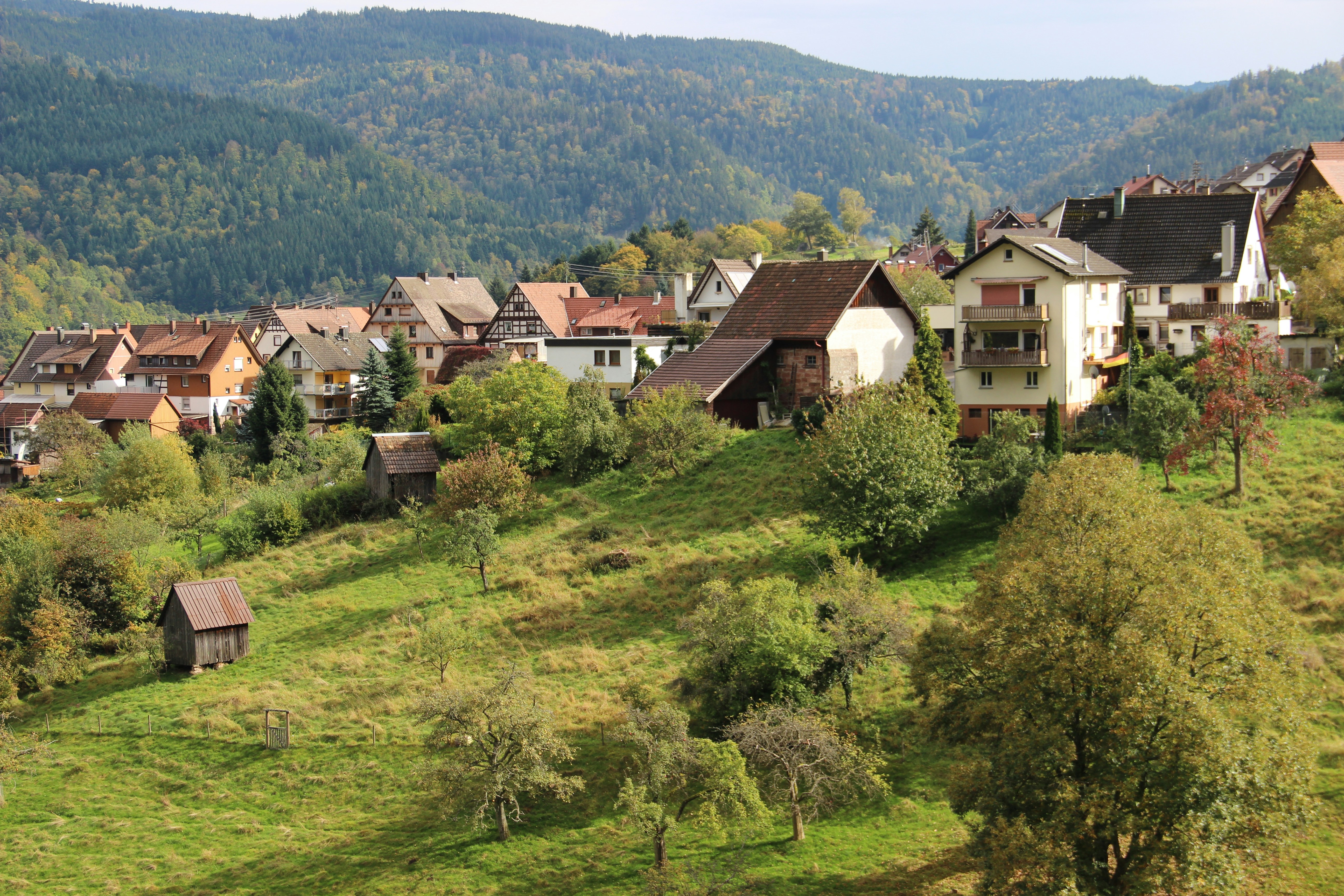 Photo by shalevcohen