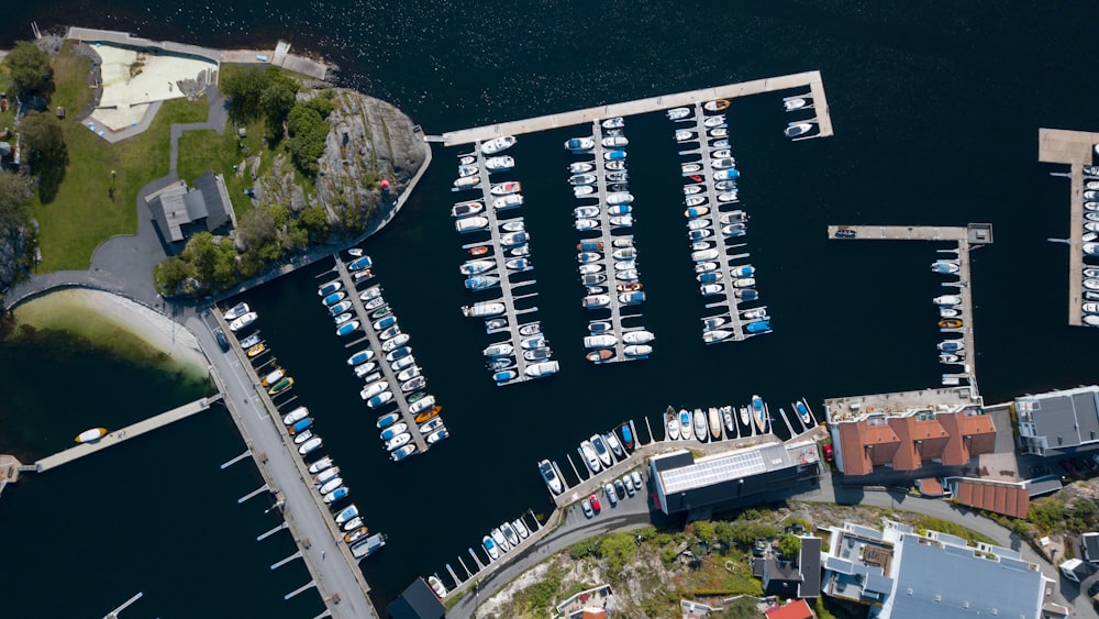 aerial view of city buildings during daytime