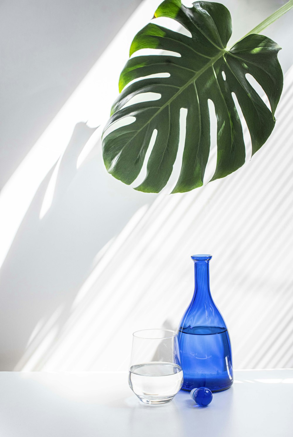 green plant in blue glass vase