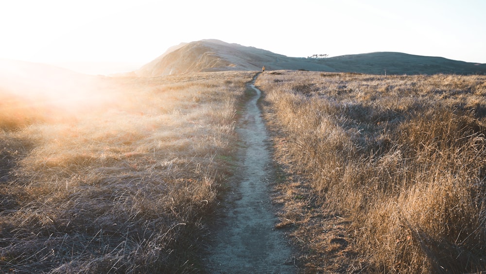 gray dirt road between brown grass field during daytime