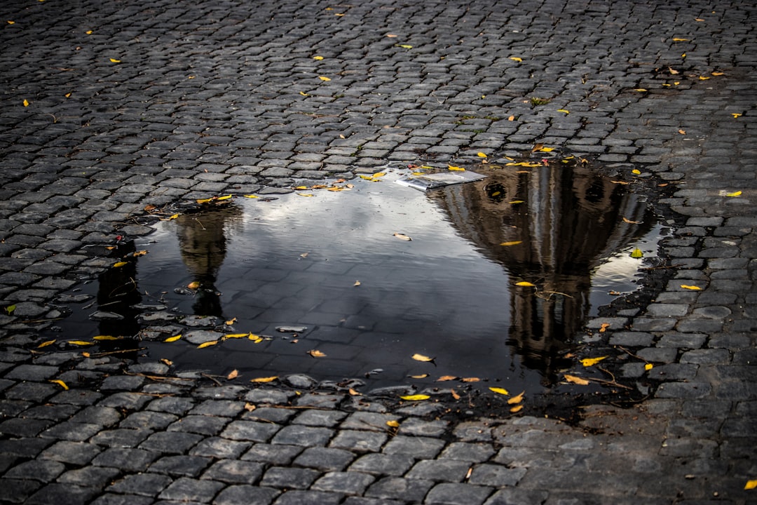 water on gray concrete floor