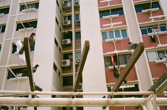 A technician installing pigeon safety nets on a balcony in Choolaimedu.