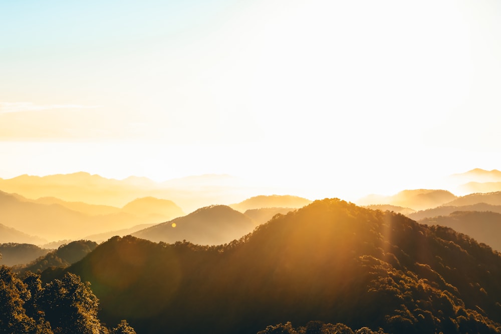 green trees on mountain during daytime