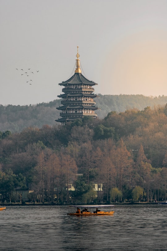 brown and black temple surrounded by green trees during daytime in Hangzhou China
